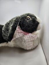 Dutch bunny rabbit for sale  Lexington