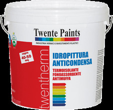 Twentepaints idropittura antic usato  Acerra