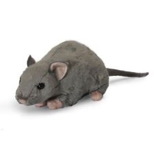 Living nature rat for sale  SHEFFIELD