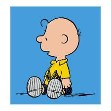 Peanuts charlie brown for sale  USA
