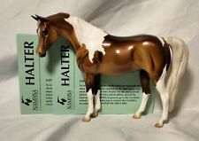peter stone horses for sale  Davenport
