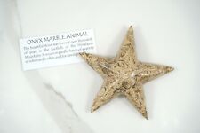 Stella fossile onice usato  Casapesenna