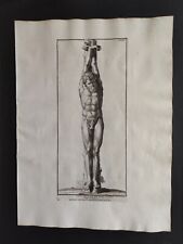Usado, Marsia scorticato da Apollo, Raccolta di statue, Randon, Stampa 1742 comprar usado  Enviando para Brazil