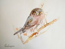 Kestrel birds watercolor for sale  Granada Hills