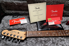 Fender america professional gebraucht kaufen  Freiburg