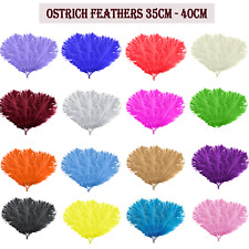 Beautiful ostrich feathers for sale  Shipping to Ireland