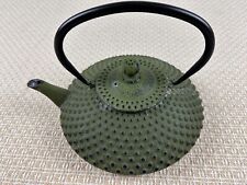 Bule de chá verde japonês Tetsubin ferro fundido Hobnail vintage cabo preto, usado comprar usado  Enviando para Brazil