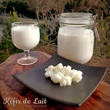 Kéfir lait bio d'occasion  La Bégude-de-Mazenc
