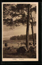Kotka, Hovinsaari, pocztówka 1928  na sprzedaż  Wysyłka do Poland
