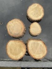 Pine wood tree for sale  NEWARK