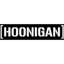 Logo hoonigan ken usato  Ascoli Piceno