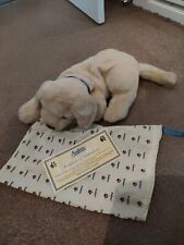 Andrex puppy pyjama for sale  ACCRINGTON