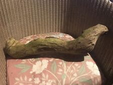 Aquarium bogwood fish for sale  CAMBERLEY