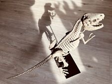 Rex baby skelett gebraucht kaufen  Kiel
