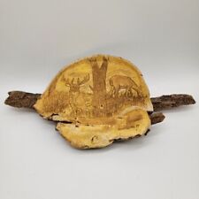 Artist conk fungi for sale  Midlothian
