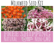 milkweed seeds swamp common for sale  Davisburg
