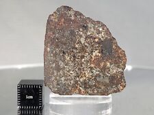 NWA 869 L3-6 12.3g, meteorite end cut, polished face with great clasts & metal for sale  Shipping to South Africa