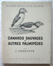 Canards sauvages palmipèdes d'occasion  Cernay