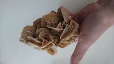 Rose sables pierre d'occasion  Dunkerque-