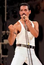 Pôster com estampa artística Freddie Mercury Queen A4   comprar usado  Enviando para Brazil