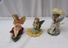 Lot fairy collection for sale  Columbus