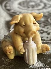 pig babies miniature for sale  West Plains