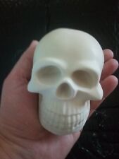 Crâne humain d'occasion  Castelnau-de-Médoc
