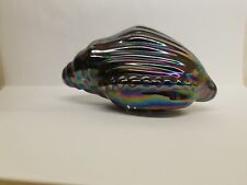 Purple iridescent shell for sale  Youngstown