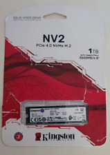 Nv2 kingston disco usato  Visciano