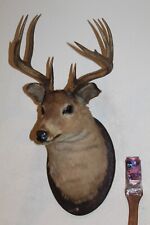 Vtg whitetail deer for sale  Brandon