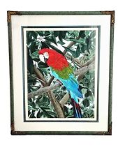 Parrot framed art for sale  San Tan Valley