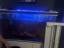 300l fish tank for sale  BIRKENHEAD