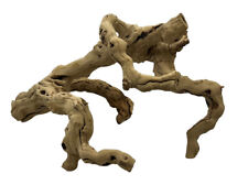 Driftwood reptile fish for sale  Patchogue