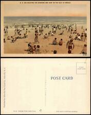 Postcard florida enjoying gebraucht kaufen  Ortrand