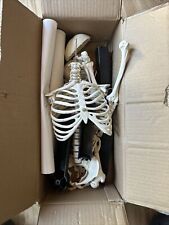 anatomical model for sale  Shipping to South Africa