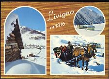 Livigno sondrio carretto usato  Monte Di Procida