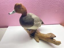Canvasback dives duck for sale  El Cajon