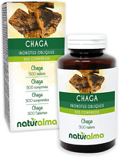 Chaga fungus mushroom for sale  ATTLEBOROUGH