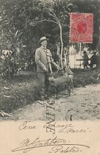 BRASIL - Pelotas, ciervos de hombre y barbecho 1905 segunda mano  Embacar hacia Argentina