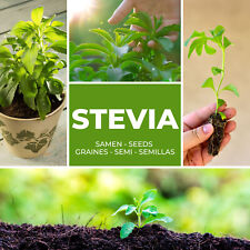stevia tabs gebraucht kaufen  Deutschland