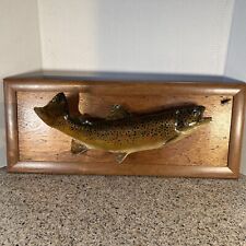 Vtg brown trout for sale  Kirkland