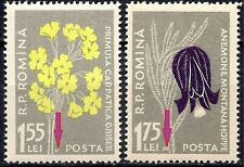 Romania 1957 fiori usato  Trambileno