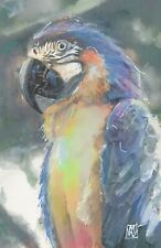 Macaw colorful portrait for sale  Bloomington