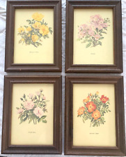 Vintage set lithograph for sale  Rochester