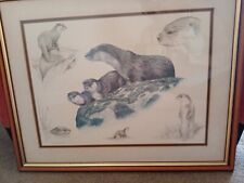 Framed otter print for sale  RUGBY