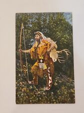 Vintage postcard native for sale  Reston