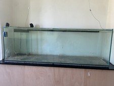 6ft fish tanks for sale 6ft fish tanks for sale EASTBOURNE