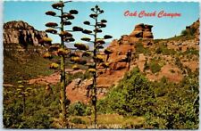 Postcard agave bloom for sale  Stevens Point