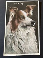 Collie dog antique for sale  BUCKINGHAM