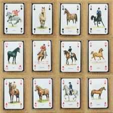Fridge Magnet (FB6) Playing Card Horses & Ponies Of The World - Various Breeds usato  Spedire a Italy
